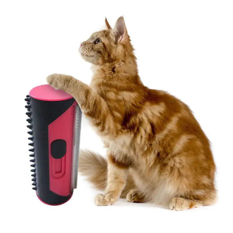 Dog Fur Remover
