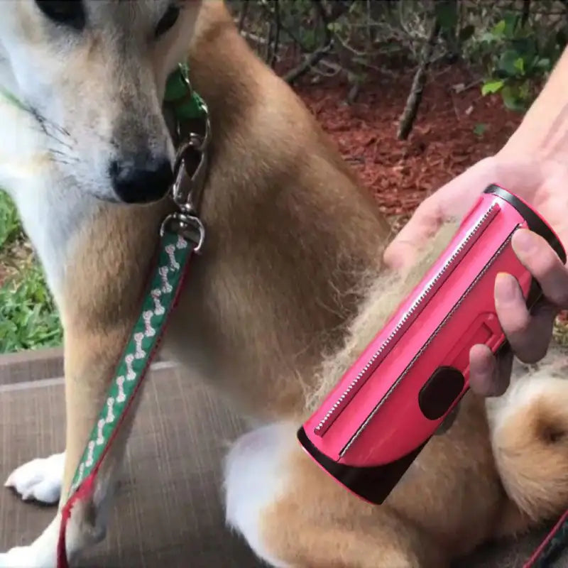Dog Fur Remover